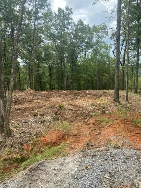 LOT 56 Ridge Line Trail, Ellijay, GA 30540