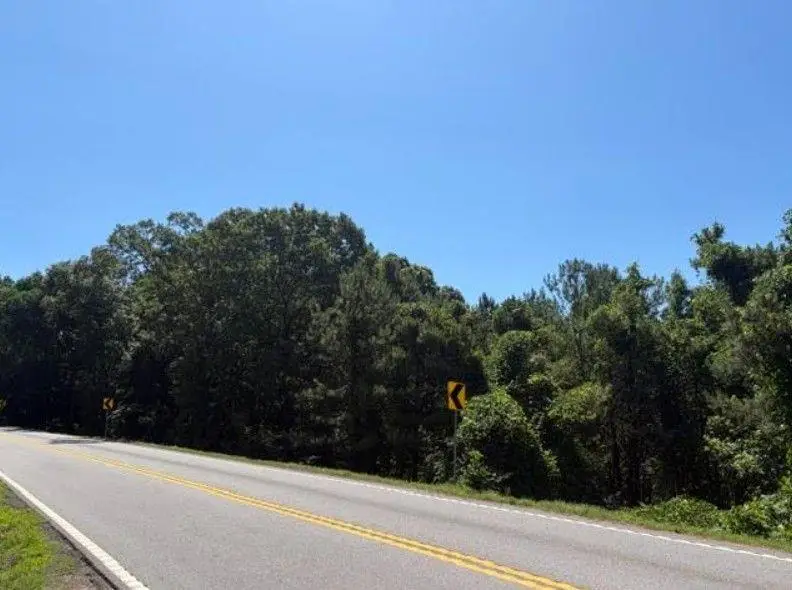 7059 Hwy 81 - Tract 3, Monroe, GA 30656 - #2