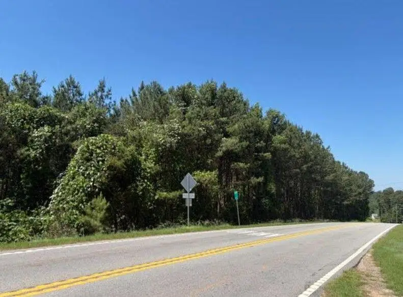7059 Hwy 81 - Tract 3, Monroe, GA 30656 - #3