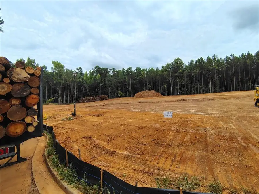 1029 Queens Bridge Way, Griffin, GA 30223 - #2