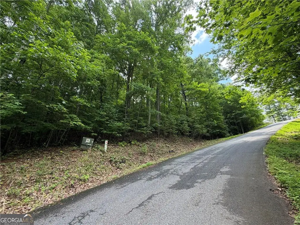 6 & 7 Mill Ridge Rd, Hiawassee, GA 30546 - #1