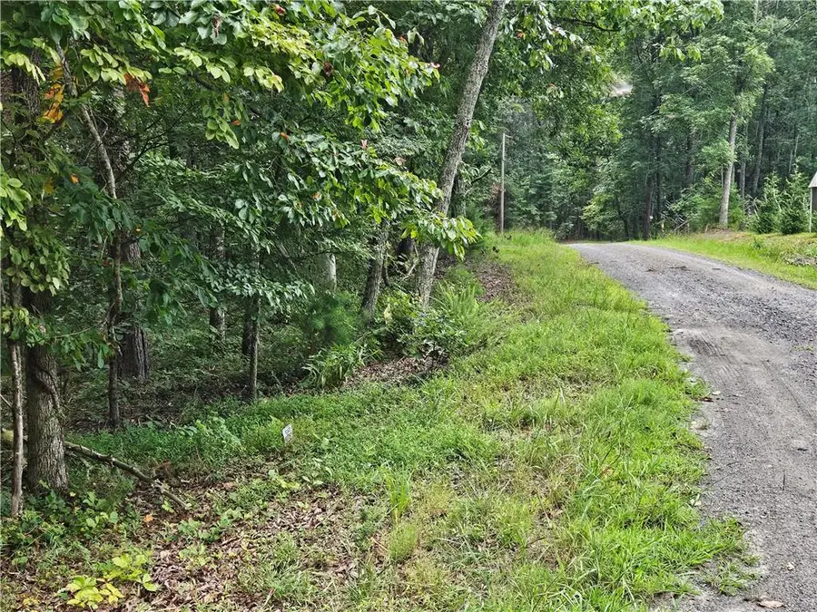 1467 Hanna Drive, Ranger, GA 30734 - #3