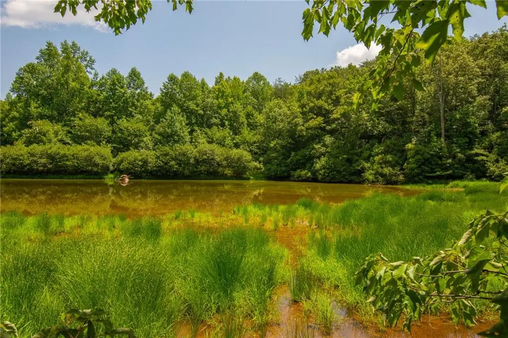 Lot A Porter Springs Road, Dahlonega, GA 30533 - #1