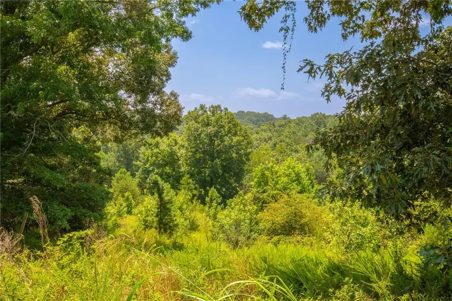 Lot A Porter Springs Road, Dahlonega, GA 30533 - #2