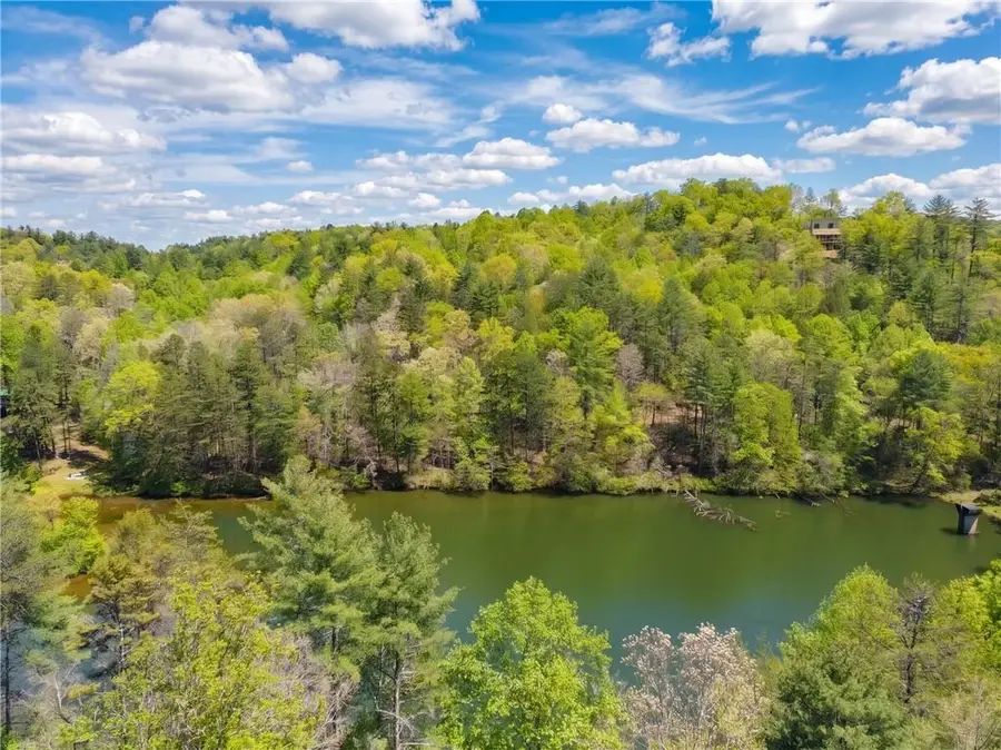 245 Bear Paw Trail, Blue Ridge, GA 30513 - #3