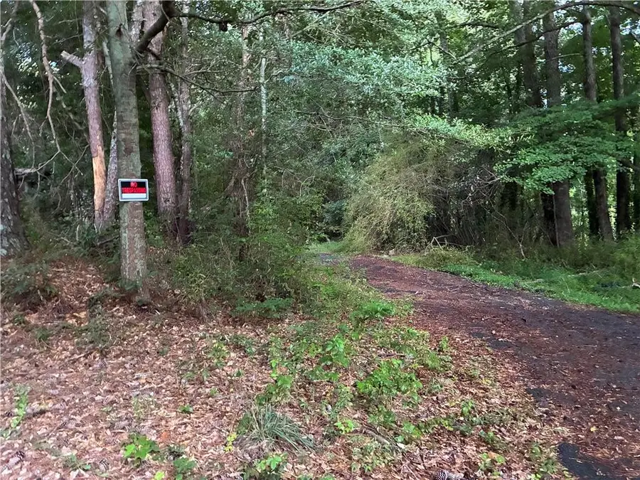5420 Cantrell Road, Dawsonville, GA 30534 - #3