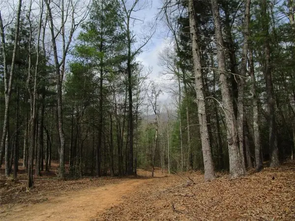 0 East New Hope Road, Ellijay, GA 30536