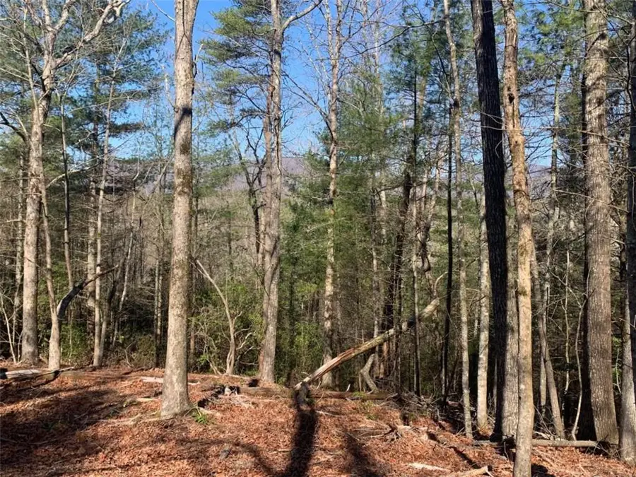 0 East New Hope Road, Ellijay, GA 30536 - #3