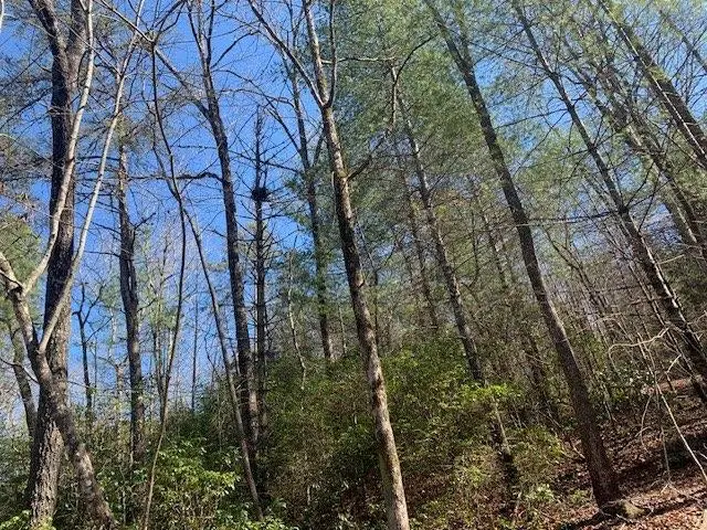 0 East New Hope Road, Ellijay, GA 30536 - #3