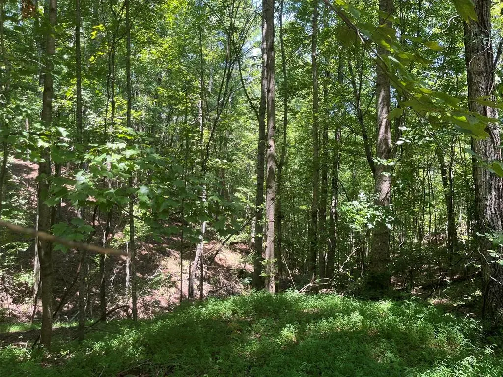 0 S Twin Oaks Drive, Ellijay, GA 30540 - #1