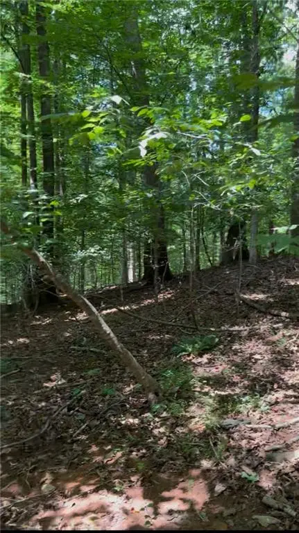 2291 Autumn Drive, Gainesville, GA 30507