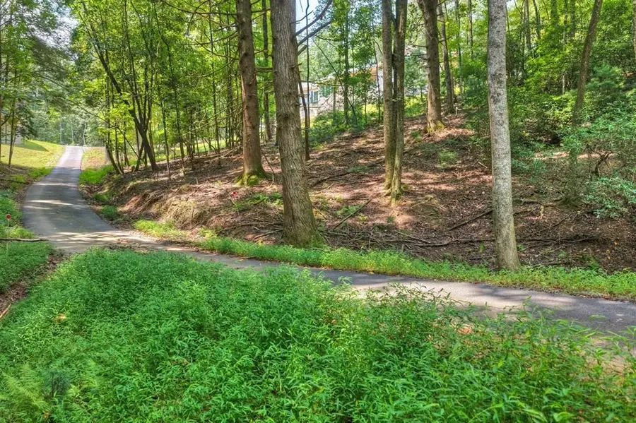 607 Satsuma Court S, Ellijay, GA 30540 - #3