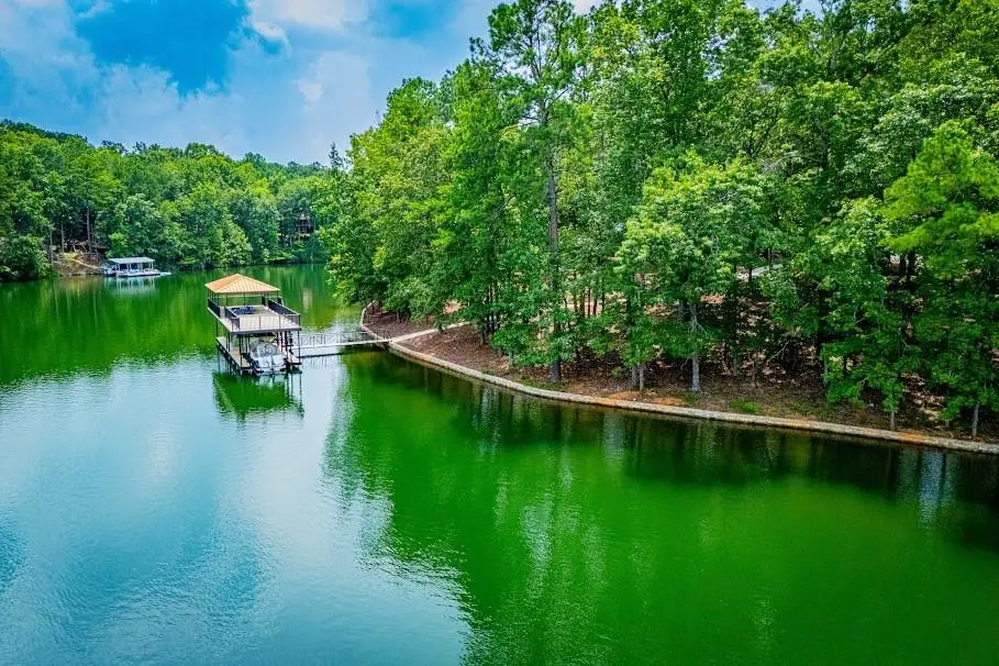 741 Firefly Lane, Lineville, AL 36266 - #1