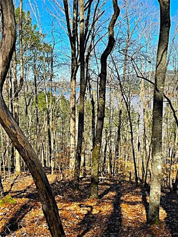 0 Overlook Drive, Chatsworth, GA 30705 - #1