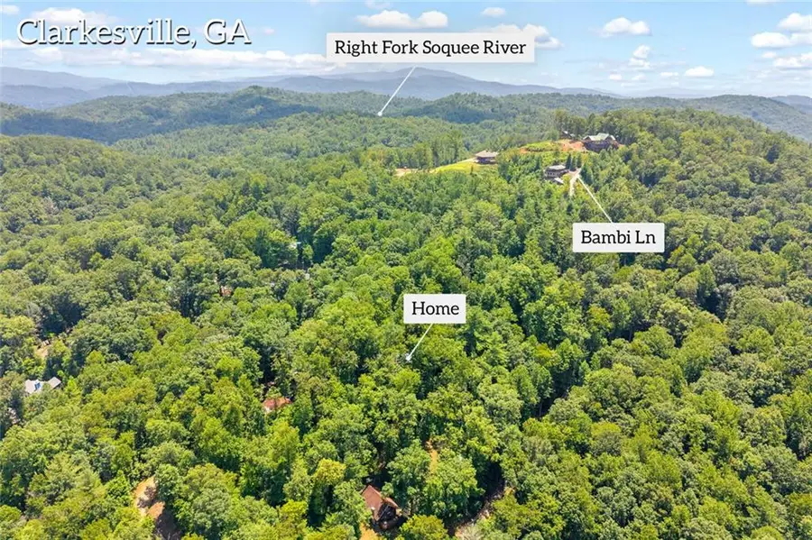 185 Pope Dickson Lane, Clarkesville, GA 30523 - #3