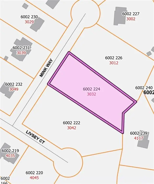3032 Mink Way, Snellville, GA 30039 - #2