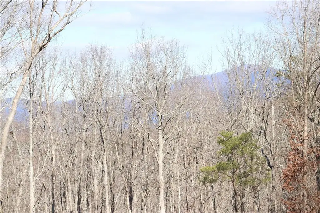 179 Trailwood Drive, Ellijay, GA 30536 - #1