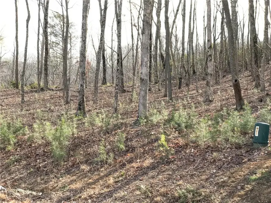 179 Trailwood Drive, Ellijay, GA 30536 - #2