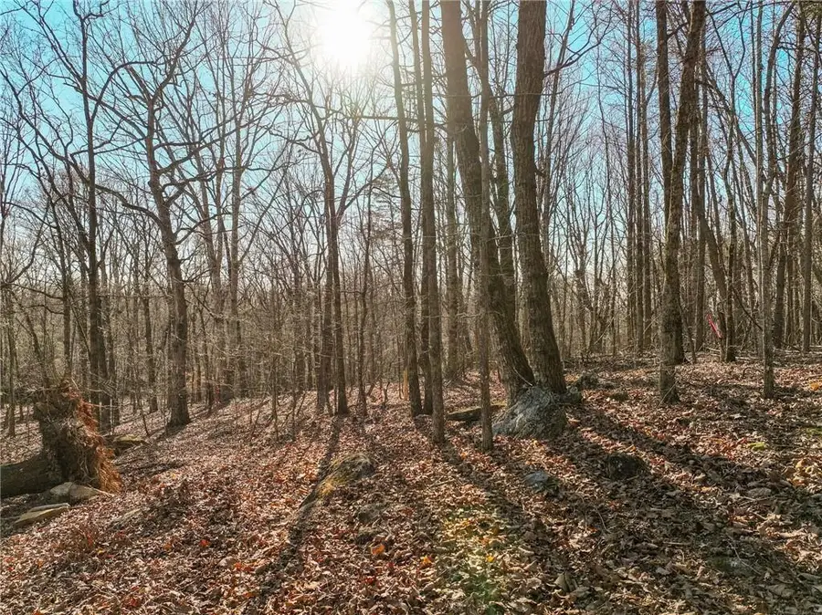 Lot 11 Mount Mincie Road, Murrayville, GA 30564 - #2