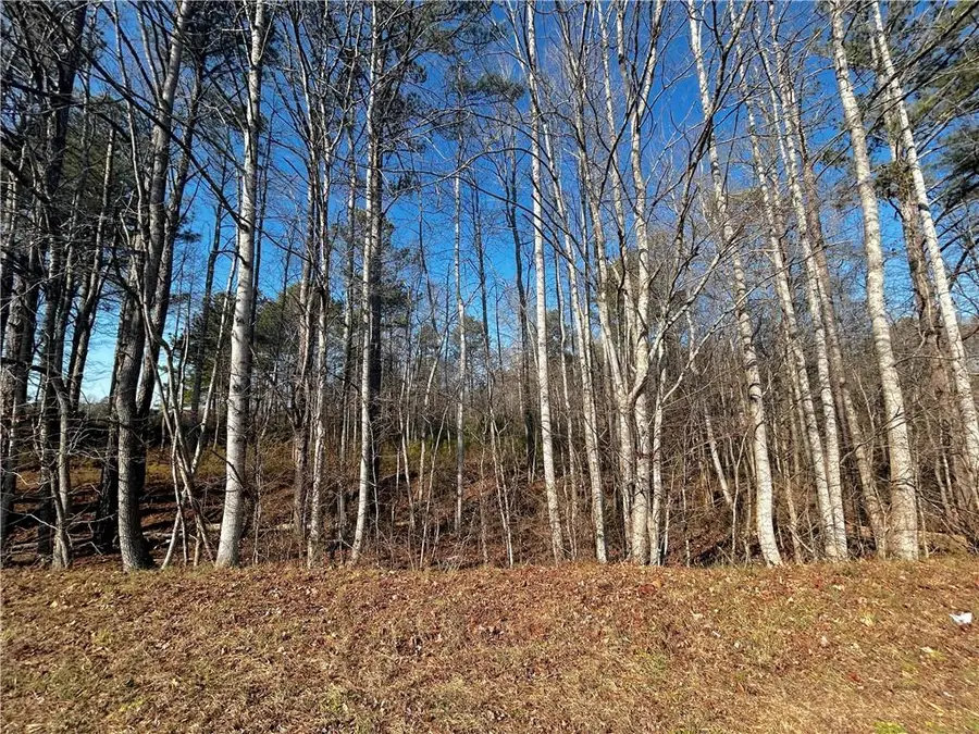 2013 Lake Paradise Road, Villa Rica, GA 30180 - #2
