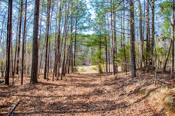 3940 Clinton Court, Villa Rica, GA 30180