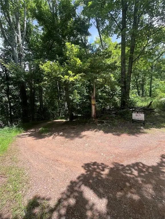00 Firetower Road, Jasper, GA 30143 - #3