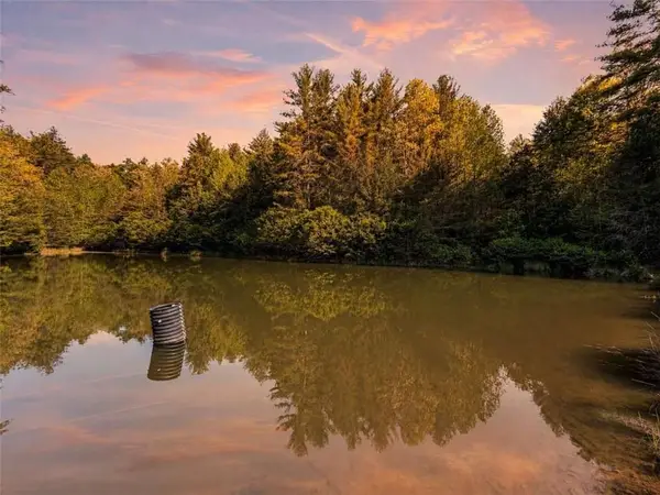 40 AC Valley Lake Road, Mineral Bluff, GA 30559
