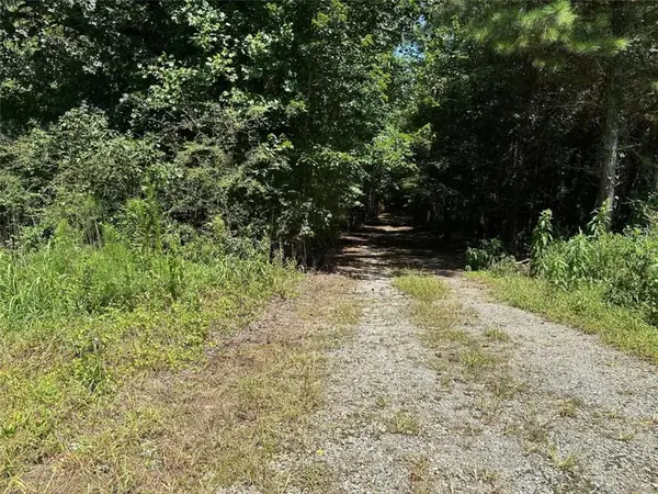 305 Wildcat Road, Buchanan, GA 30113