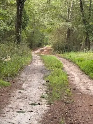 184 W Mcbride Road, Fayetteville, GA 30215 - #3