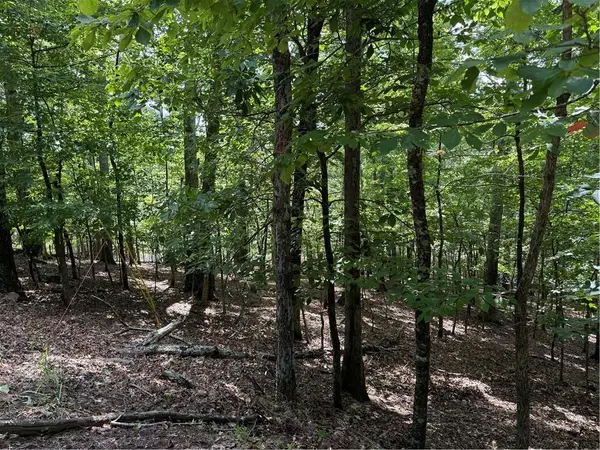 117 Tulip Tree Court, Waleska, GA 30183
