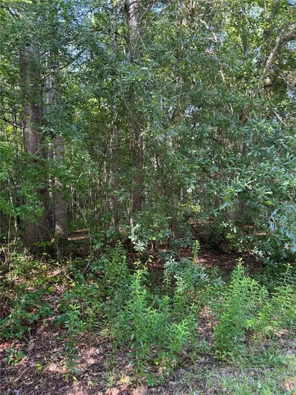 89 Trellis Court, Carrollton, GA 30116