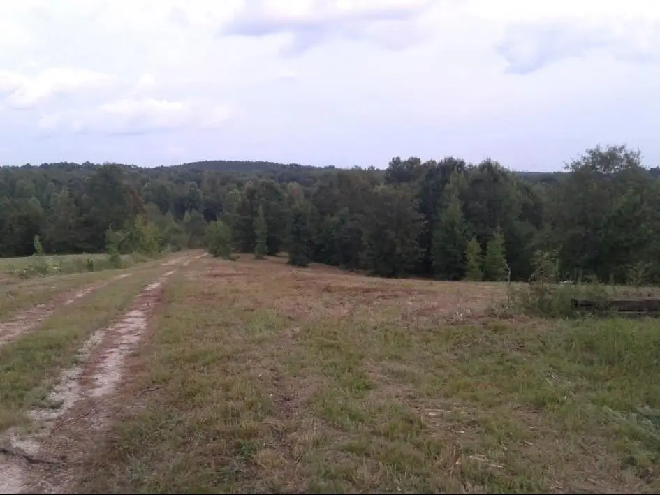 Address Withheld By Seller, Monticello, GA 31064 - #1
