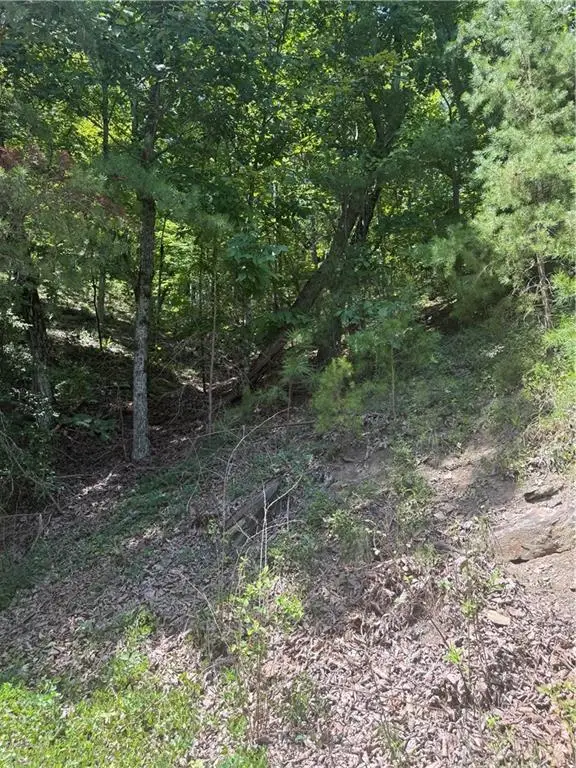 347 Meteor Court Ne, Ranger, GA 30734 - #2
