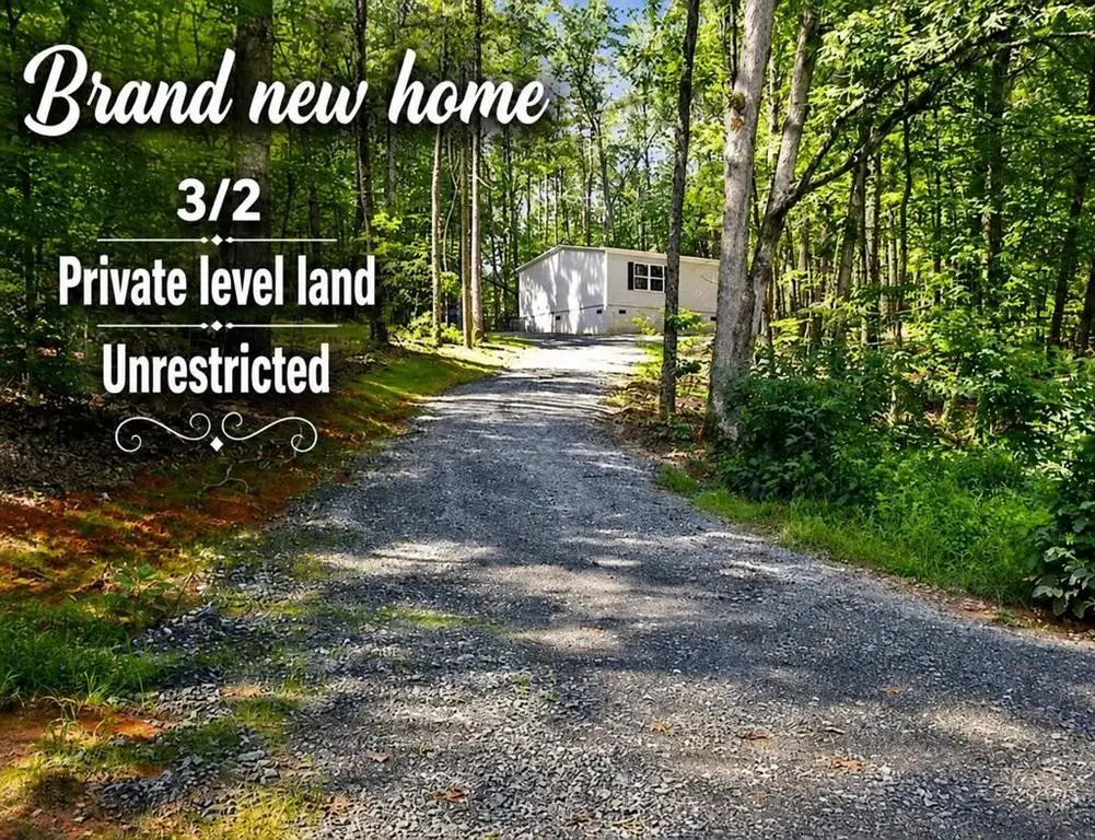 8827 Big Creek Road, Ellijay, GA 30536 - #1