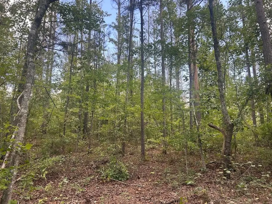 111 Riversong (tract 26), Carrollton, GA 30117 - #3
