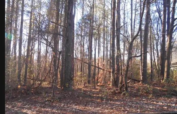 0 Bartlett Circle, Bowdon, GA 30108