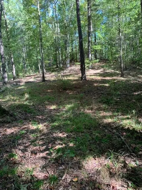 4000 Campbellton Fairburn Road, Fairburn, GA 30213 - #3
