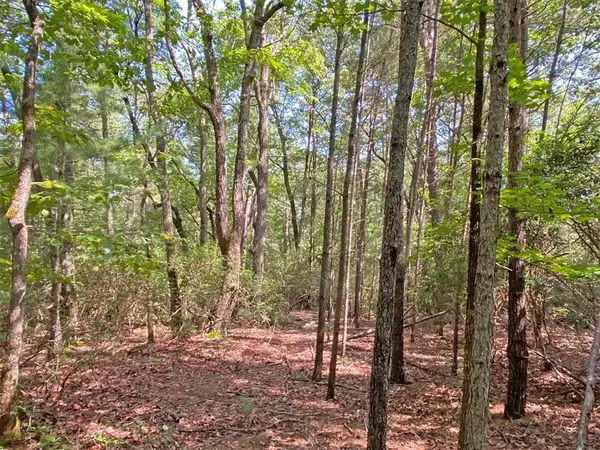 10.59 Ac, T S Jarrard Road, Dahlonega, GA 30533