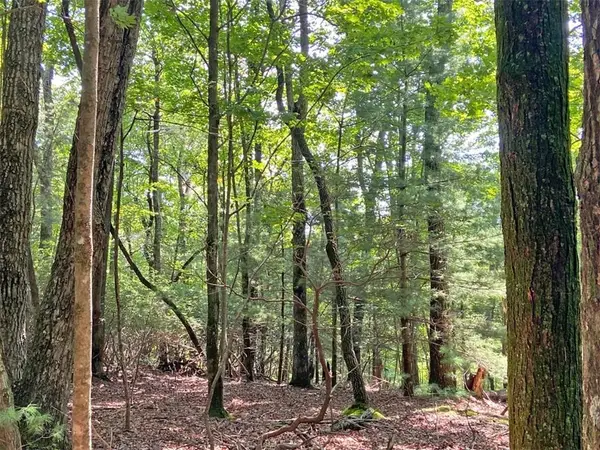 11AC T S Jarrard Road, Dahlonega, GA 30533