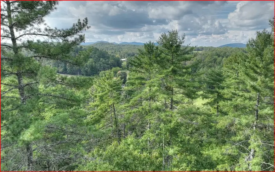 0 Walker Ridge Way, Mineral Bluff, GA 30559 - #3