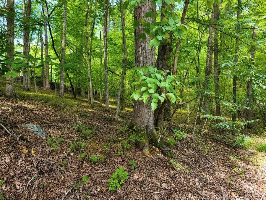 6195 Belle Meade Drive, Villa Rica, GA 30180 - #2