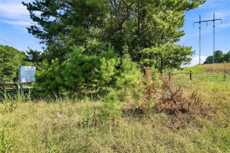 0 Ozora Church Road, Loganville, GA 30052 - #2