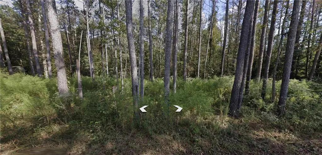 0 Holly Road Tract 3, Bowdon, GA 30108 - #1