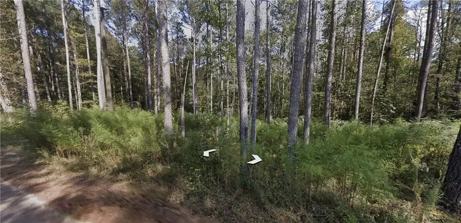 0 Holly Road Tract 3, Bowdon, GA 30108 - #3