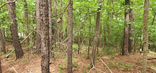 0000 Rabbit Farm Road, Loganville, GA 30052