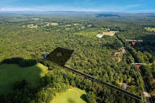 7704 Georgia Highway 100, Buchanan, GA 30113