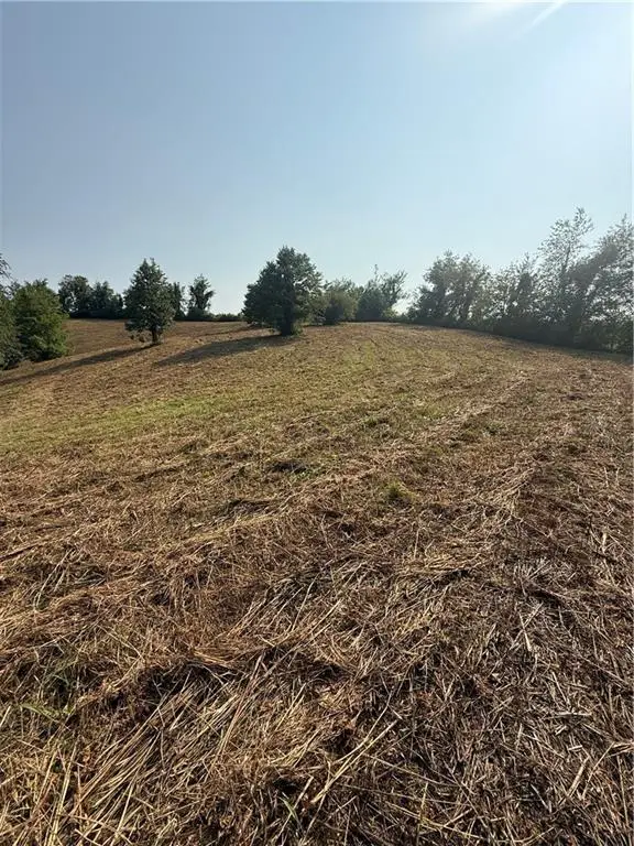 00 Ridgemont Lane, Ellijay, GA 30536 - #3