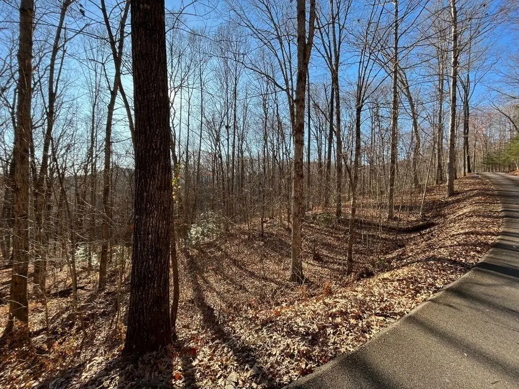 LOT #2 Forest Canopy Way, Clayton, GA 30525 - #1