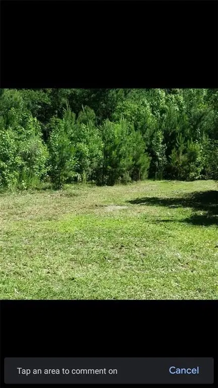 221 Turtle Drive, Richmond Hill, GA 31324