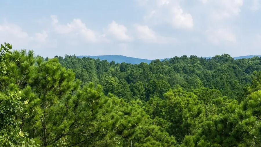 0 Shallow Water Way, Talking Rock, GA 30175 - #2